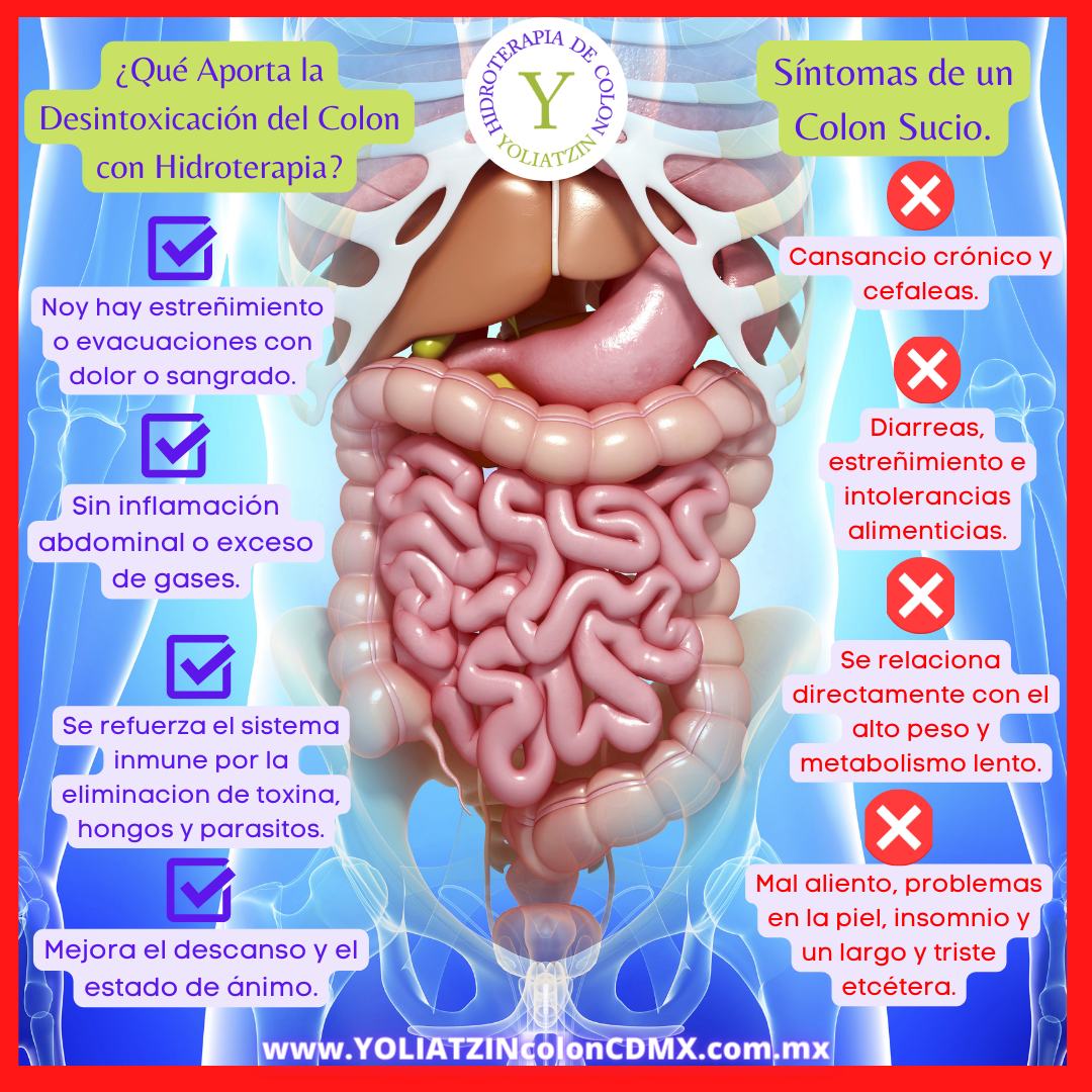 Hidroterapia De Colon YOLIATZIN Tratamiento Natural Para La Limpieza